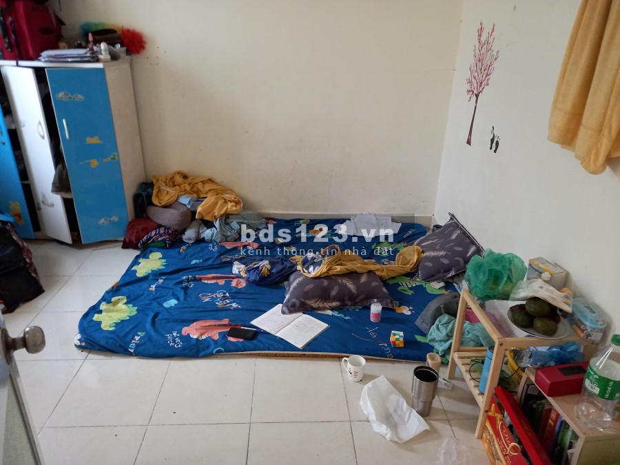 Bán nhà nguyên căn 2 Tầng Tân Khai Lĩnh Nam Hoàng Mai giá 850 Triệu, ô tô nhỏ đỗ cửa