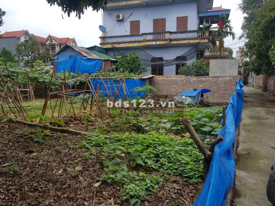 Chính chủ cần bán nhanh 65m2 đất thổ cư giá công nhân tại: xã Lạc Đạo, Văn Lâm. Lh 0835459289