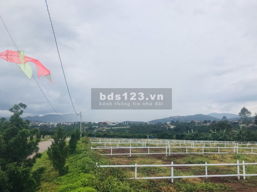 Siêu phẩm Nghỉ Dưỡng Ven Hồ Tây Di Linh, giá chỉ từ 9 triệu/m2, ngân hàng hỗ trợ vay đến 70%