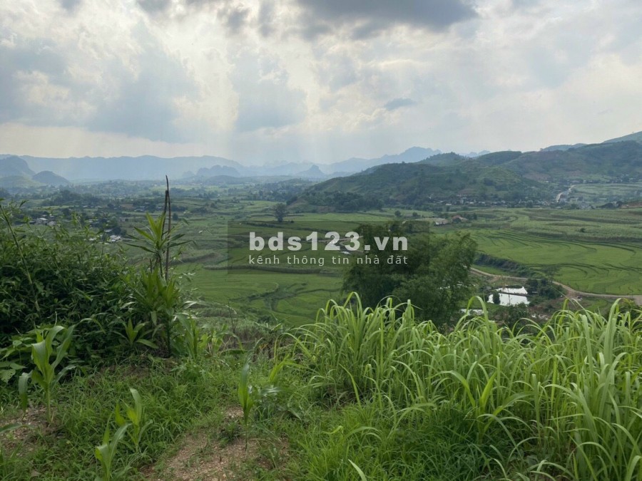 Bán đất Cao Phong, Hòa Bình, 1,9ha có thổ cư, đất vườn và rừng sản xuất, view đẹp