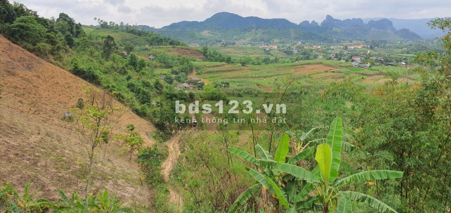 Bán đất Cao Phong, Hòa Bình, 1,9ha có thổ cư, đất vườn và rừng sản xuất, view đẹp