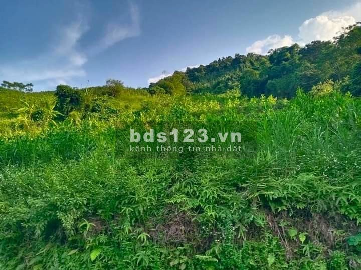 Bán 3091m full thổ cự tại Tú Sơn view thoáng lưng tựa núi giá 1.7 tỷ, liên hệ 0979302789