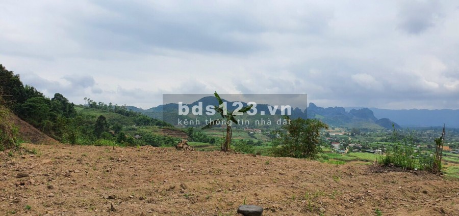 Bán đất Cao Phong, Hòa Bình, 1,9ha có thổ cư, đất vườn và rừng sản xuất, view đẹp