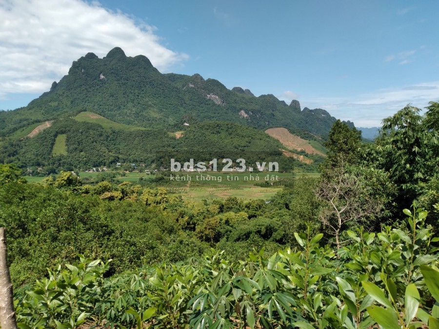 Bán 1,4ha đất rừng sản xuất giá rẻ Kim Bôi Hoà Bình, giá bán 360 triệu, pháp lí đủ