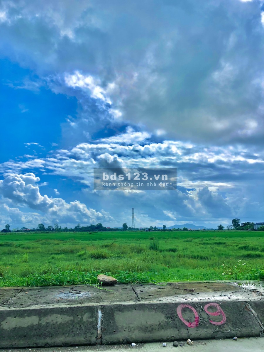 Cần bán lô đất đẹp, rẻ tại Đông Ninh - Đông Sơn, giá chỉ 5 triệu/m2, liên hệ 0979674886
