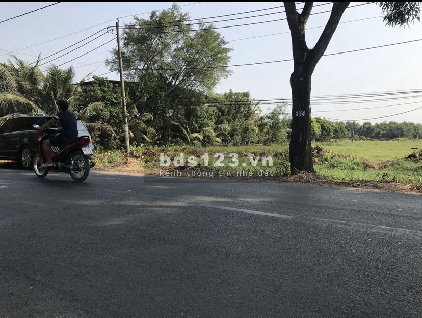 Mặt tiền Tỉnh Lộ 15 xã Trung An cách ngã tư Tân Quy 2km đường lớn thuận tiện giao thông