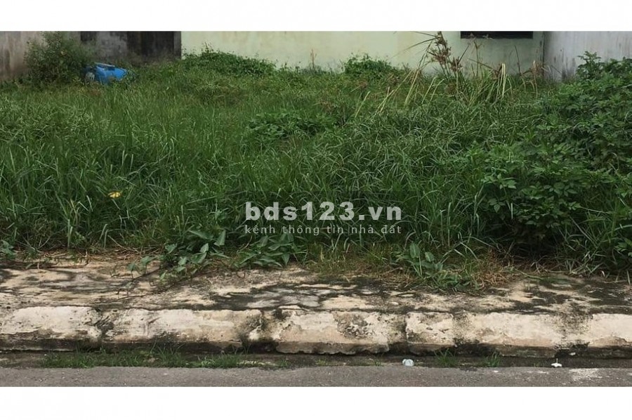 Bán đất HXH Đường số 14, P.5, Gò Vấp, 4.1x12 (2 lô liền kề) chỉ 4.65 tỷ