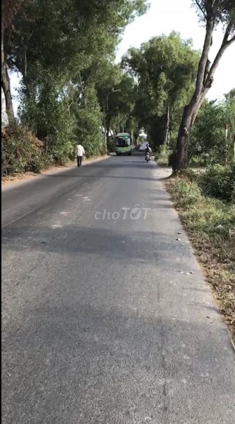 Mặt tiền Tỉnh Lộ 15 xã Trung An cách ngã tư Tân Quy 2km đường lớn thuận tiện giao thông