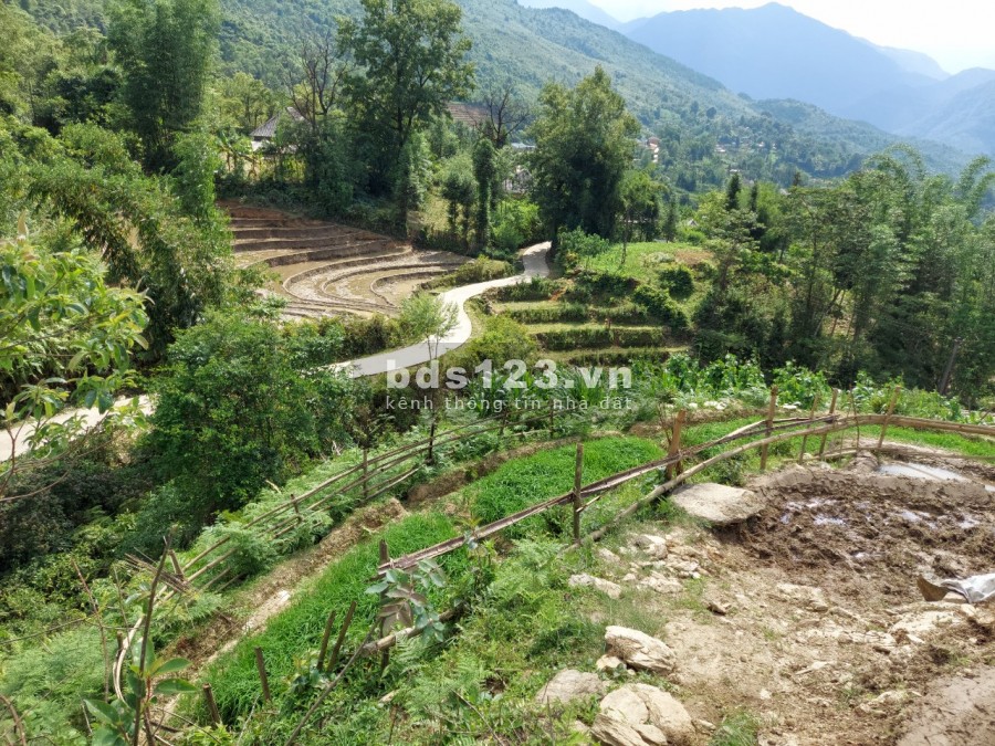 Bán mảnh đất diện tích 1500m2 thôn Lao Chải, Y Tý view ruộng bậc thang xuất sắc