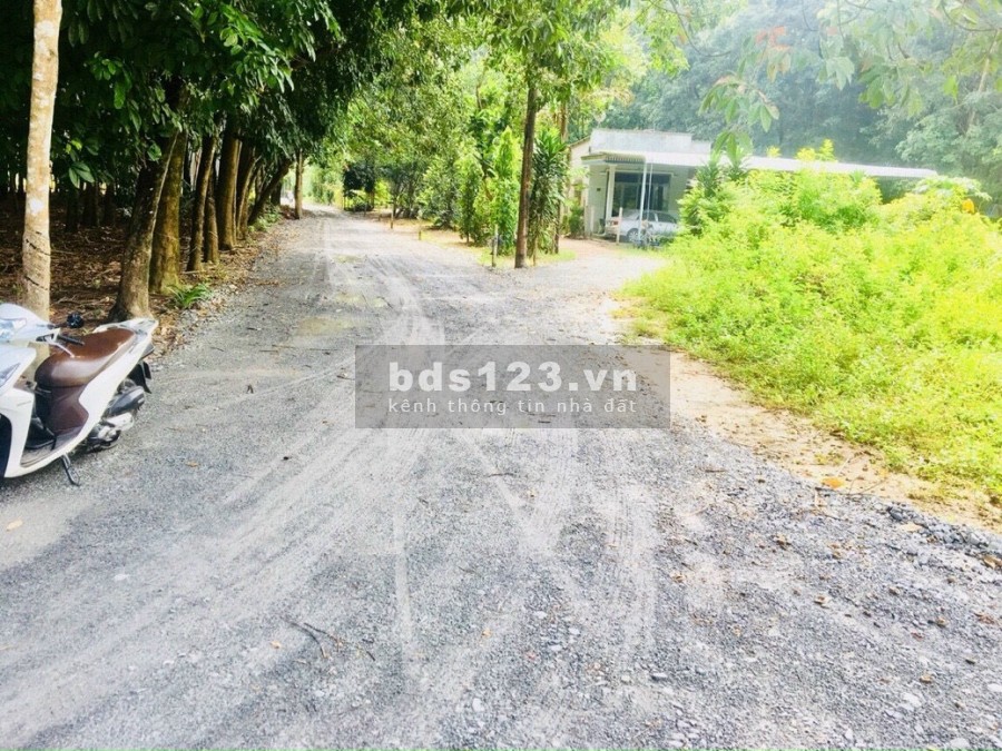 Đất Vĩnh Tân giá cực rẻ chi anh chị đầu tư, giá bán 1.563 tỷ, liên hệ chính chủ 0965756657