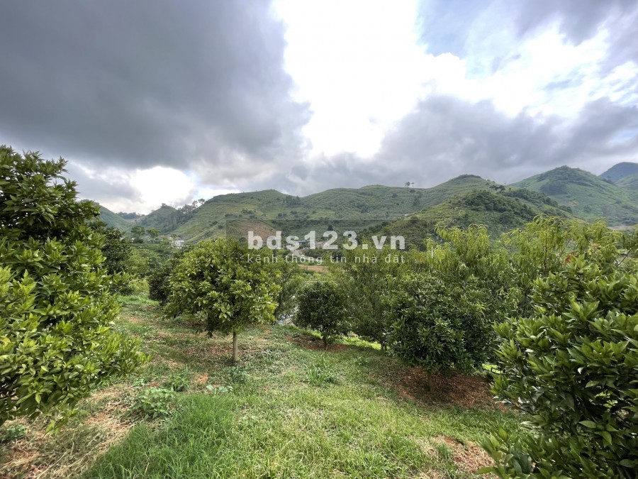 Bán 6800m2 đất view thích hợp làm farm hoặc homestay nghỉ dưỡng tại TTNT Mộc Châu