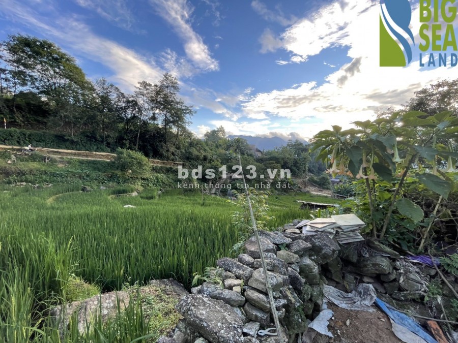 Cần bán lô đất diện tích sử dụng 194m2 tại trung tâm Y Tý(sapa2) giá rẻ bất ngờ