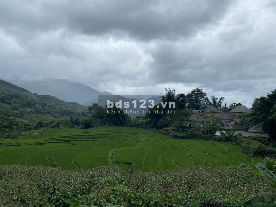 Bán đất đẹp thôn Lao Chải, Y Tý, nằm trong khu du lịch văn hóa cộng đồng, quy hoạch toàn bộ đất ở