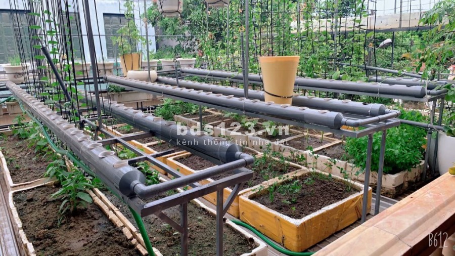 Bán nhà 3 tầng phường Trường Thi, thành phố Vinh, tỉnh Nghệ An, 1100% ngõ Đinh Hương