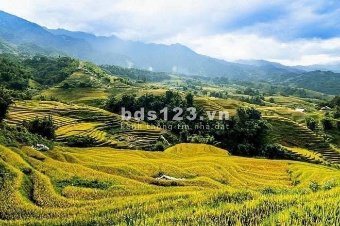 Y Tý-Sa Pa2 đất nghỉ dưỡng đón đầu quy hoạch sân bay, pháp lý có sổ đỏ, giá thoả thuận