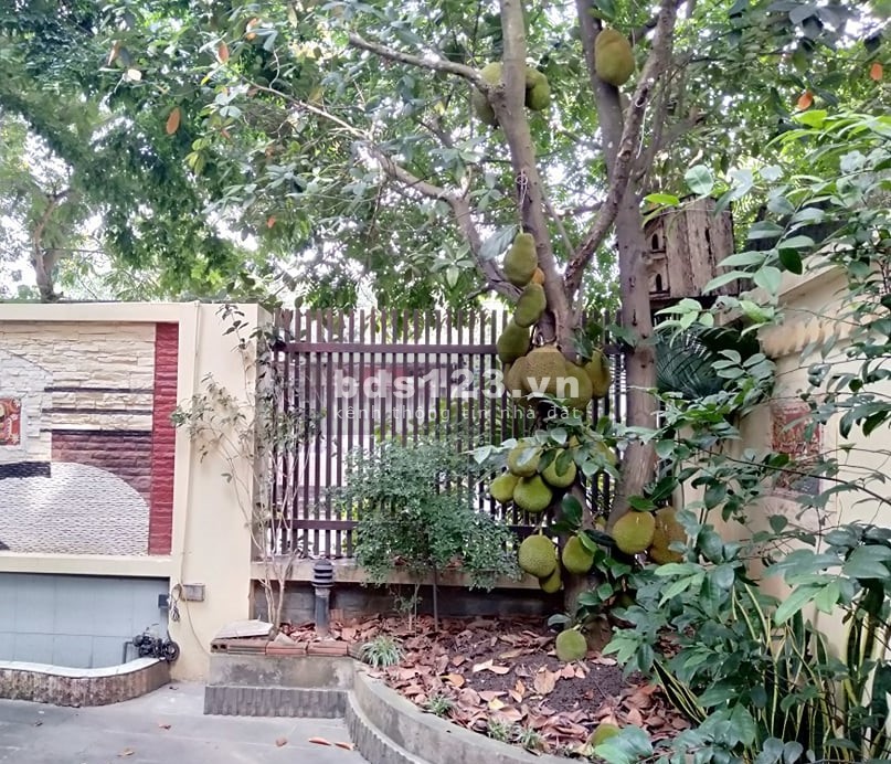 Biệt Thự Văn Quán Quận Hà Đông diện tích sử dụng 205m giảm chào 2 tỷ giá còn 19 tỷ