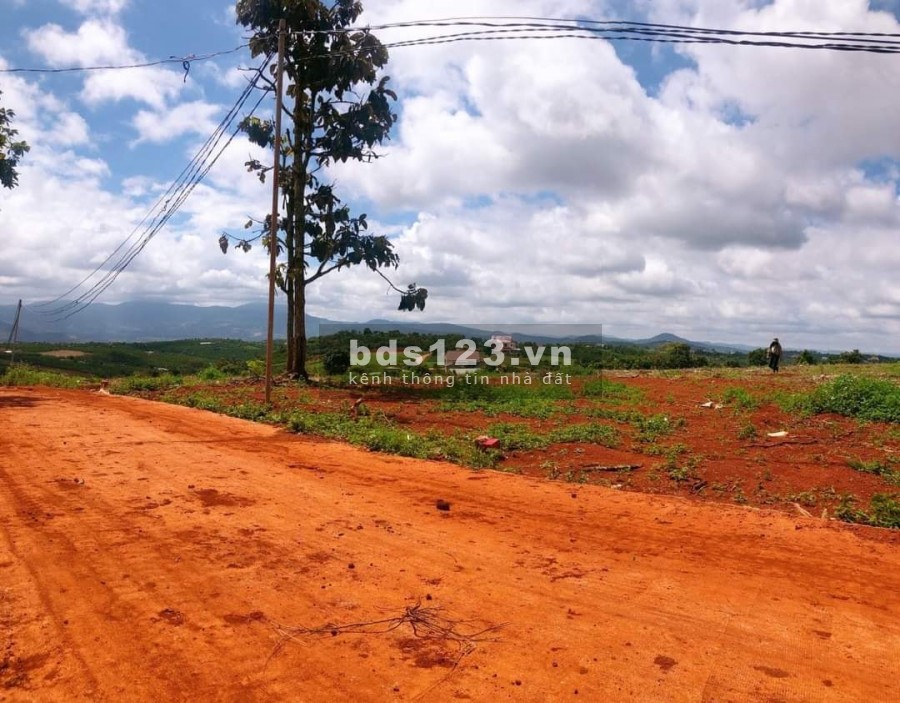 Bán đất Gia Lâm, diện tích sử dụng 235m2, giá 570 triệu, view đồi thoải, đường betong tận đất
