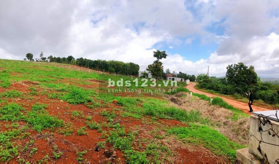 Bán đất Gia Lâm, diện tích sử dụng 235m2, giá 570 triệu, view đồi thoải, đường betong tận đất