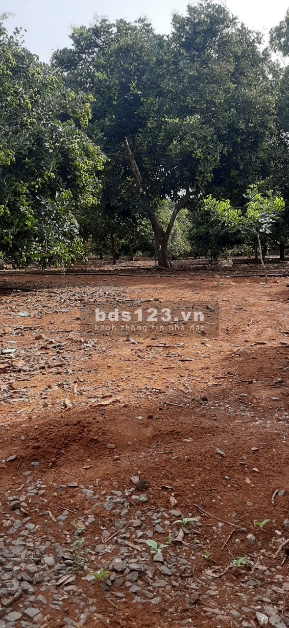 Đất kế khu công nghiệp Cẩm Mỹ mở rộng giá 810 triệu, sổ riêng thổ cư, bao thuế phí