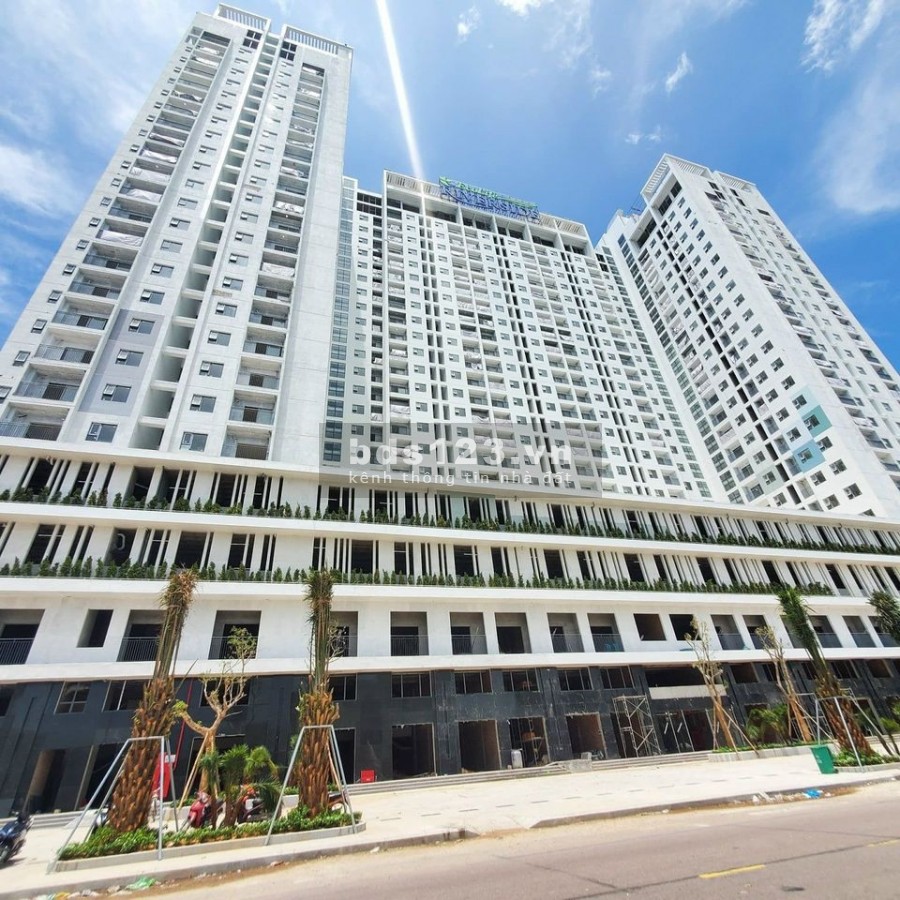 Chỉ 350 Triệu Đầu Tư Ngay Siêu Phẩm Căn Hộ Ecolife Duy Nhất Tại Thành Phố Quy Nhơn