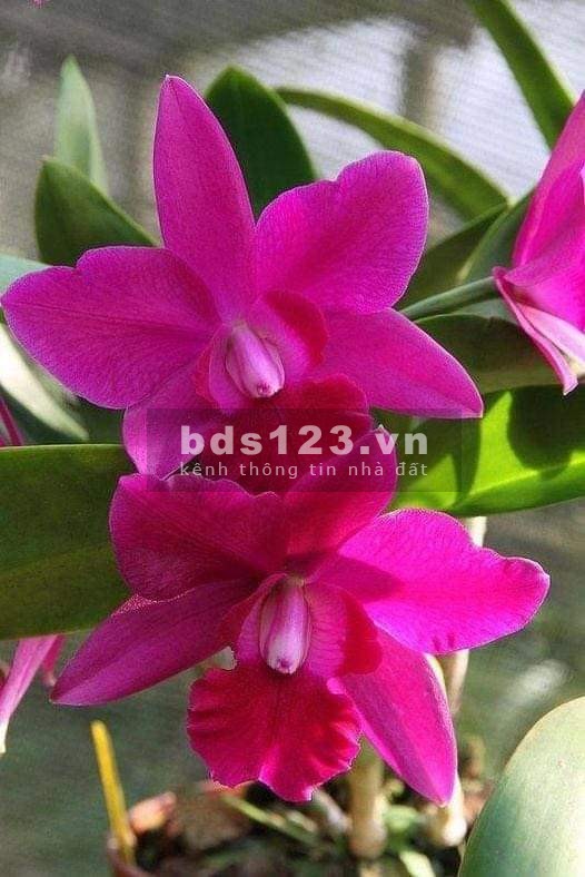 Lạc quan cùng nhau mình đẩy lùi covid để trở lại cuộc sống bình thường.690 triệu - 72m2