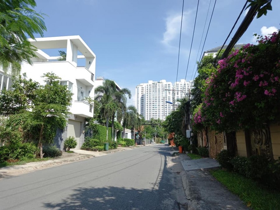 Nhà nguyên căn diện tích 250m2, lộ 8m, nội thất cao cấp, Quận 7, dt 10x25m, nội thất sang