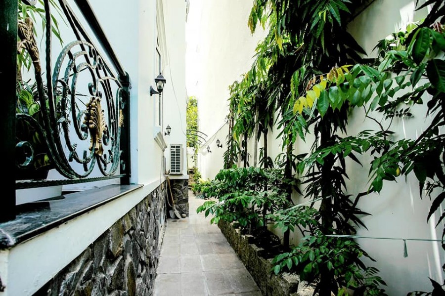 Nhà nguyên căn diện tích 250m2, lộ 8m, nội thất cao cấp, Quận 7, dt 10x25m, nội thất sang