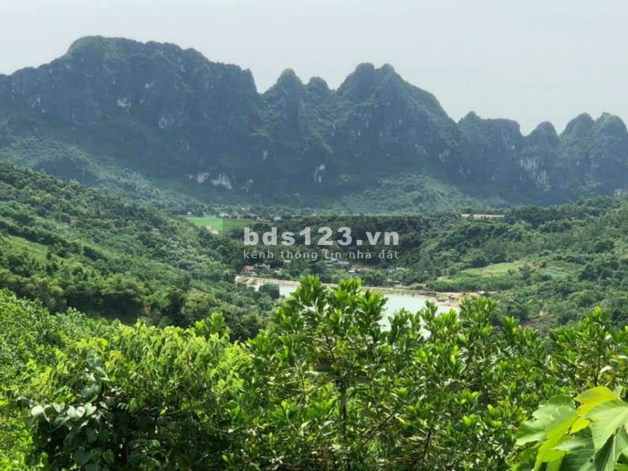 Chính chủ cần bán nhanh 3HA đất nghỉ dưỡng bám suối giá rẻ tại Lương Sơn Hoà Bình