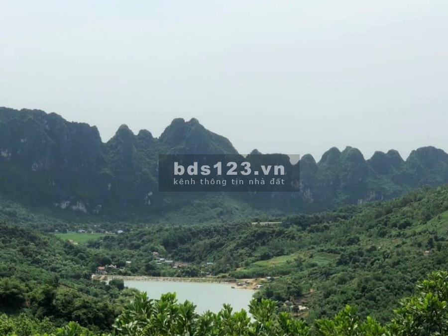 Chính chủ cần bán nhanh 3HA đất nghỉ dưỡng bám suối giá rẻ tại Lương Sơn Hoà Bình