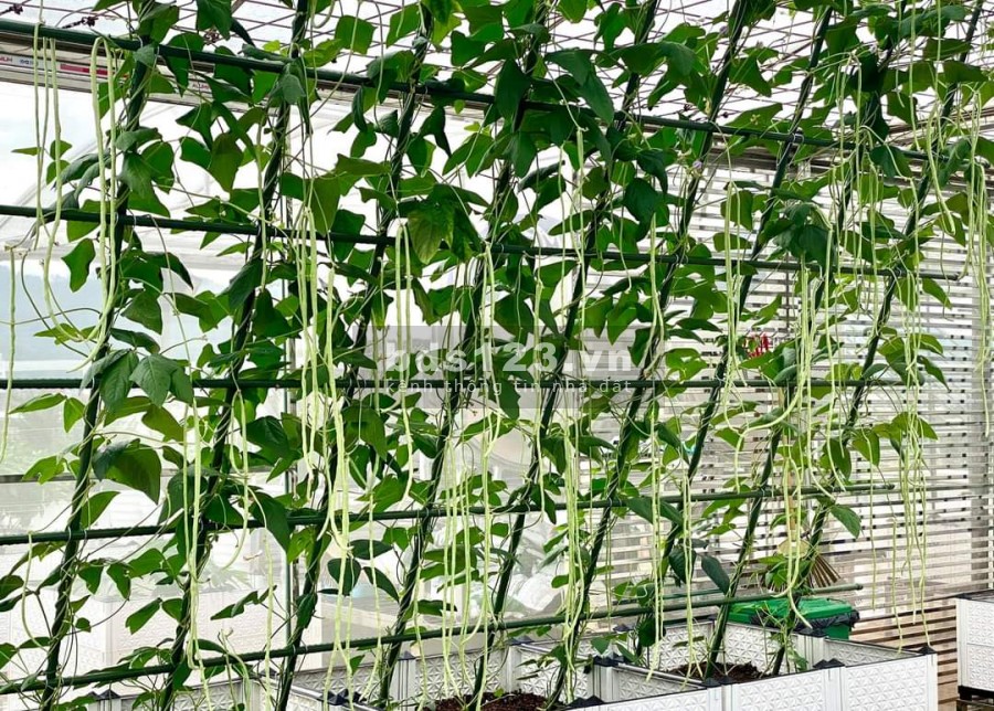 Bán nhà 63 Lê Đức Thọ, dt 40m2, 5 tầng mới đẹp, tặng nội thất, gần mặt phố Trần Hữu Dục, lhcc