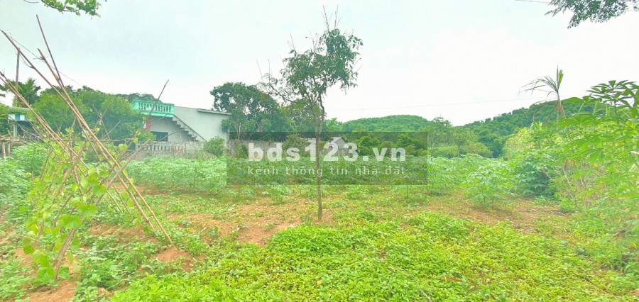Diện tích sử dụng 900m2 suối khoáng nóng Kim Bôi Hoà Bình, chủ cần tiền bán nhanh