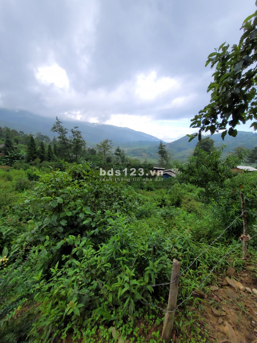Bán đất Phìn Hồ, view bao trọn thung lũng, có sẵn nhà thích hợp làm nghỉ dưỡng