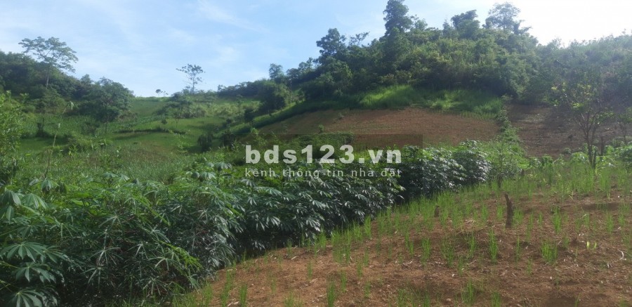 Diện tích sử dụng 900m2 suối khoáng nóng Kim Bôi Hoà Bình, chủ cần tiền bán nhanh