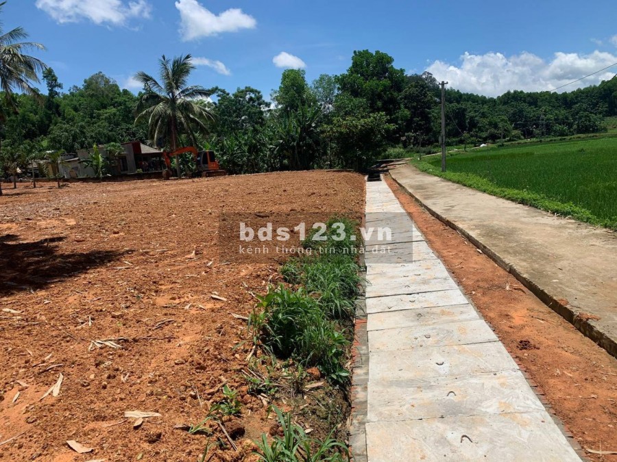 Cần bán lô LK3-03 dt 88m2, tại khu nhà ở Pland Ruby sao vàng Triệu Sơn Thanh Hoá