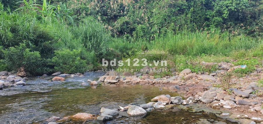 Hơn 7000m2 bám suối gần khu du lịch tại Dũng Phong Cao Phong Hòa Bình