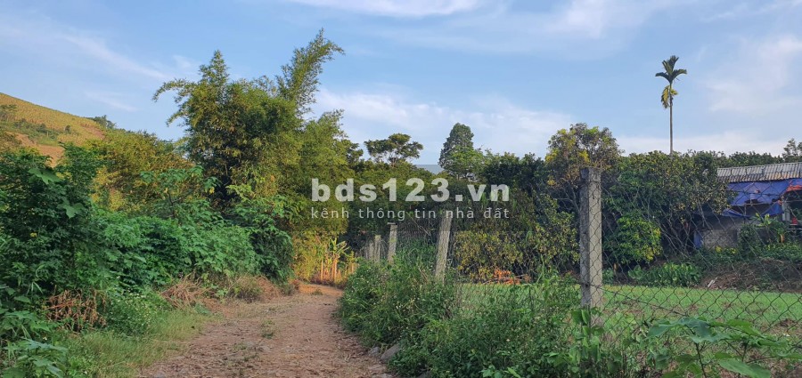 Hơn 7000m2 bám suối gần khu du lịch tại Dũng Phong Cao Phong Hòa Bình