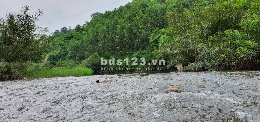 Hơn 7000m2 bám suối gần khu du lịch tại Dũng Phong Cao Phong Hòa Bình