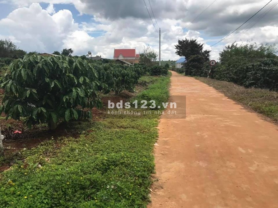 Bán đất diện tích 240m2 cần bán giá 659 Triệu Đông Thanh, Lâm Hà, Cách Đà Lạt 21 km
