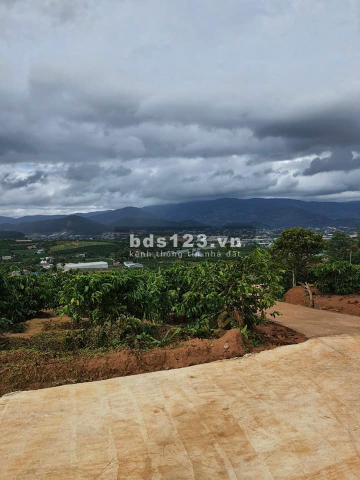 Bán đất diện tích 240m2 cần bán giá 659 Triệu Đông Thanh, Lâm Hà, Cách Đà Lạt 21 km