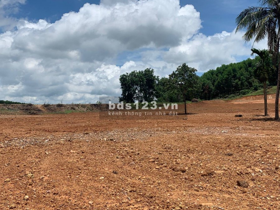 Cần bán lô LK3-03 dt 88m2, tại khu nhà ở Pland Ruby sao vàng Triệu Sơn Thanh Hoá