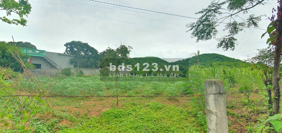 Diện tích sử dụng 900m2 suối khoáng nóng Kim Bôi Hoà Bình, chủ cần tiền bán nhanh
