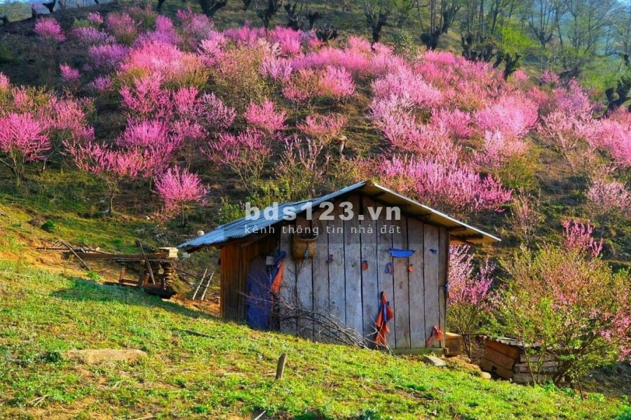 Mảnh đất hoa hậu tại Y Tý Sapa 2 giữa trung tâm dt 1833m2 view hồ 22ha lh 0822356688