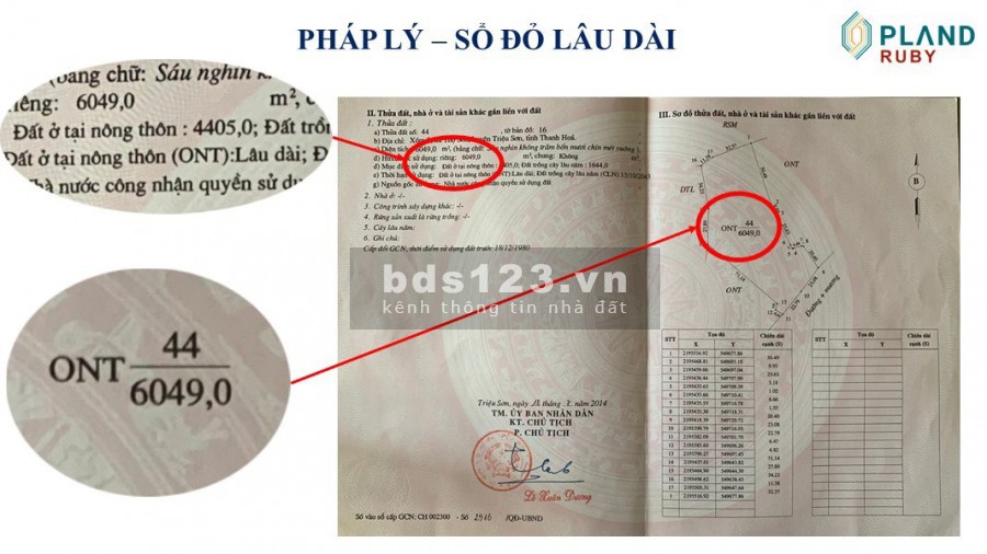 Cần bán lô LK3-03 dt 88m2, tại khu nhà ở Pland Ruby sao vàng Triệu Sơn Thanh Hoá