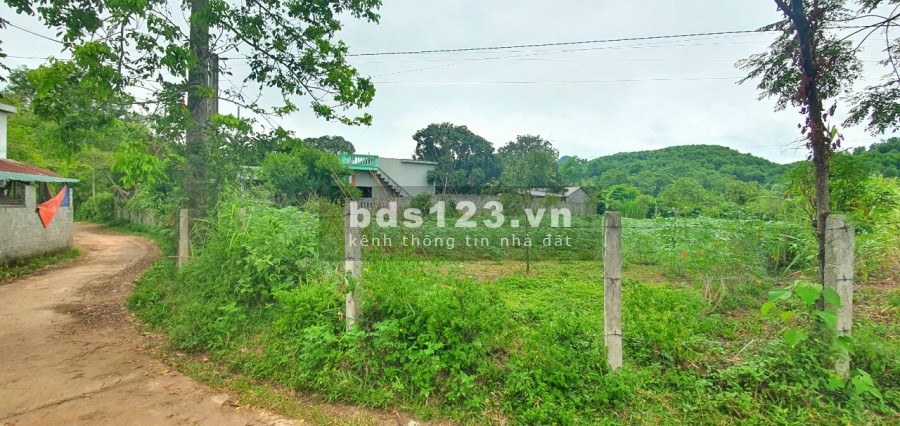 Diện tích sử dụng 900m2 suối khoáng nóng Kim Bôi Hoà Bình, chủ cần tiền bán nhanh