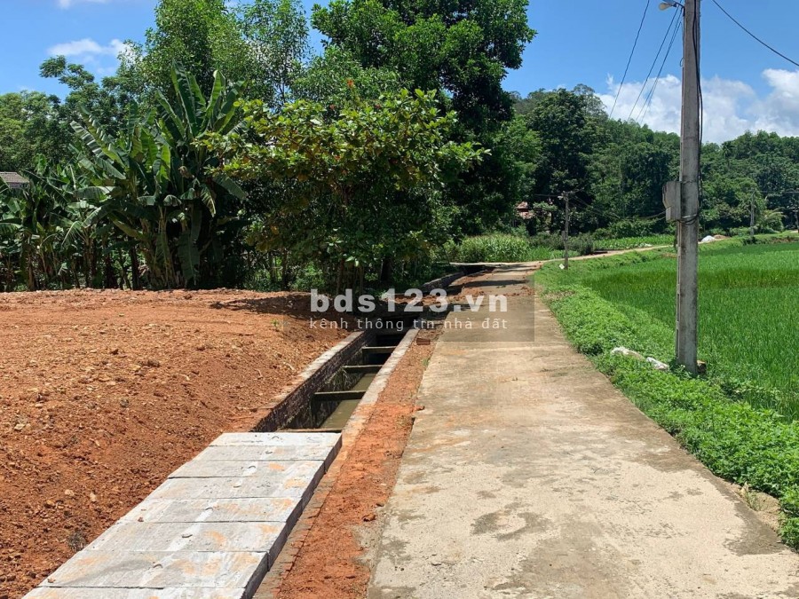 Cần bán lô LK3-03 dt 88m2, tại khu nhà ở Pland Ruby sao vàng Triệu Sơn Thanh Hoá