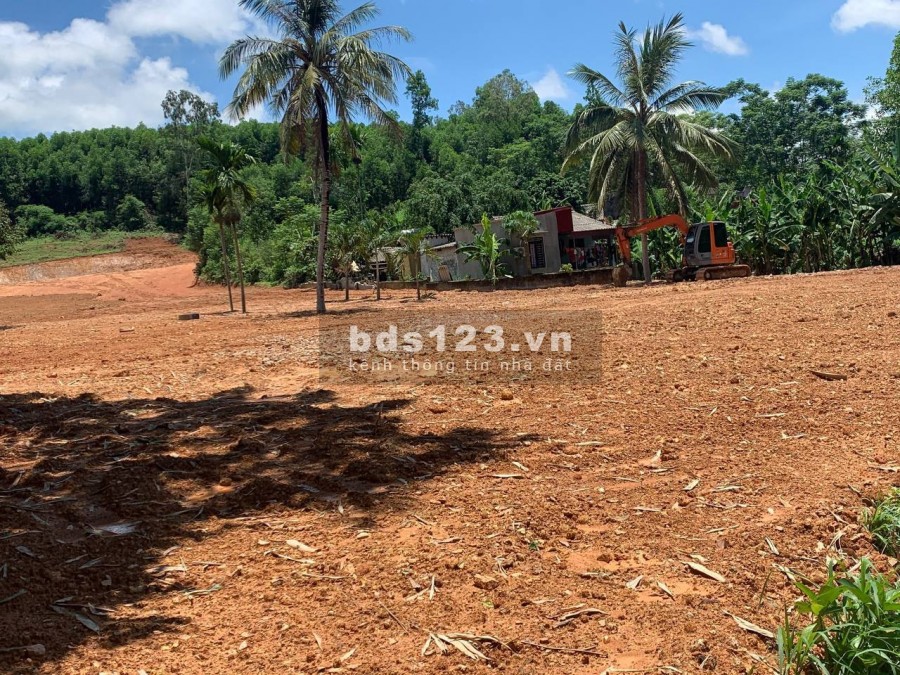 Cần bán lô LK3-03 dt 88m2, tại khu nhà ở Pland Ruby sao vàng Triệu Sơn Thanh Hoá