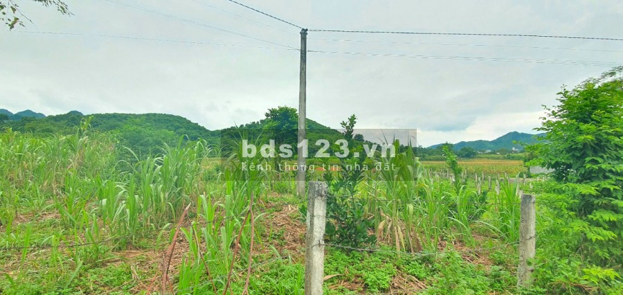 Diện tích sử dụng 900m2 suối khoáng nóng Kim Bôi Hoà Bình, chủ cần tiền bán nhanh
