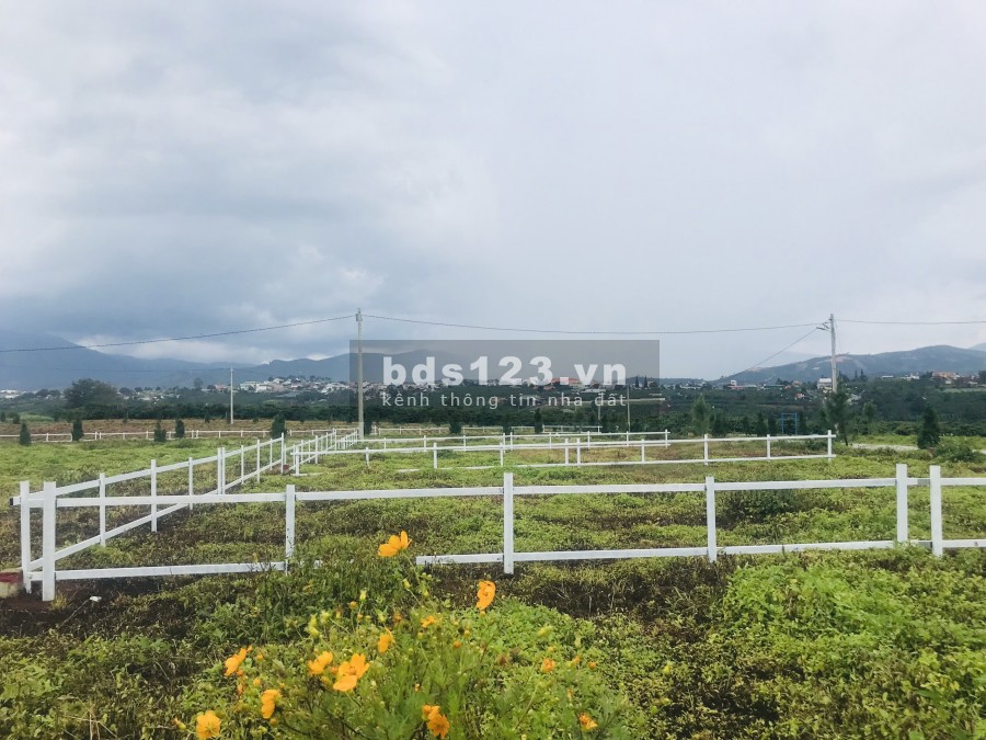 Bán nền view Hồ Tây Di Linh Lâm Đồng biệt thự mini, giá triệu 9 triệu/m2, pháp lí đủ