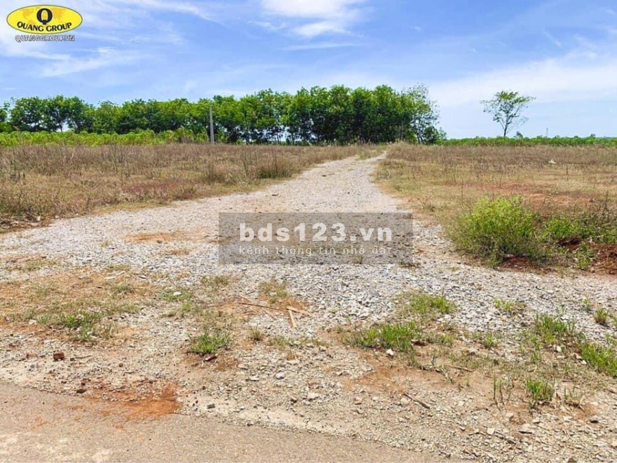 Đất Vĩnh Hoà cực đẹp. Duy nhất 1 lô hôm nay giá bán 388 triệu, liên hệ 0868450456