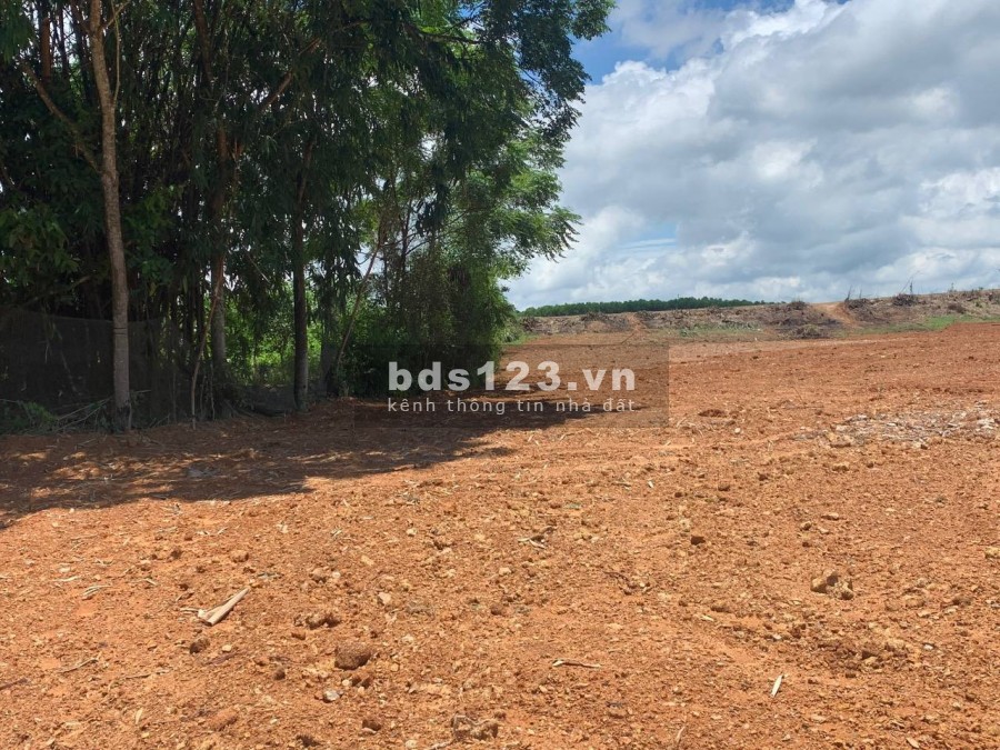 Cần bán lô LK3-03 dt 88m2, tại khu nhà ở Pland Ruby sao vàng Triệu Sơn Thanh Hoá
